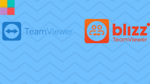 blizz by teamviewer for windows