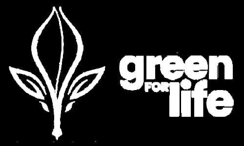 Green Green